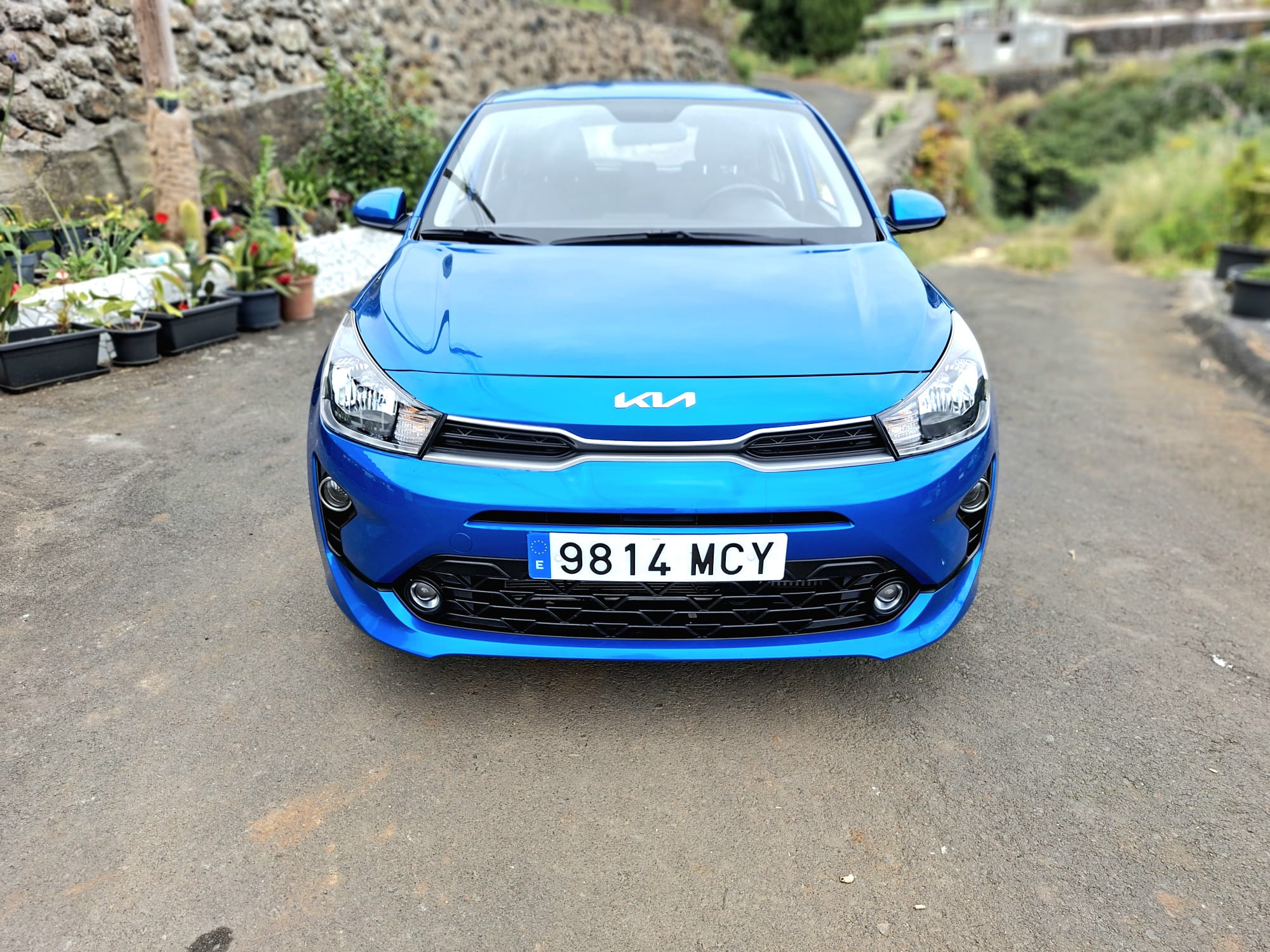 Kia Rio foto 3