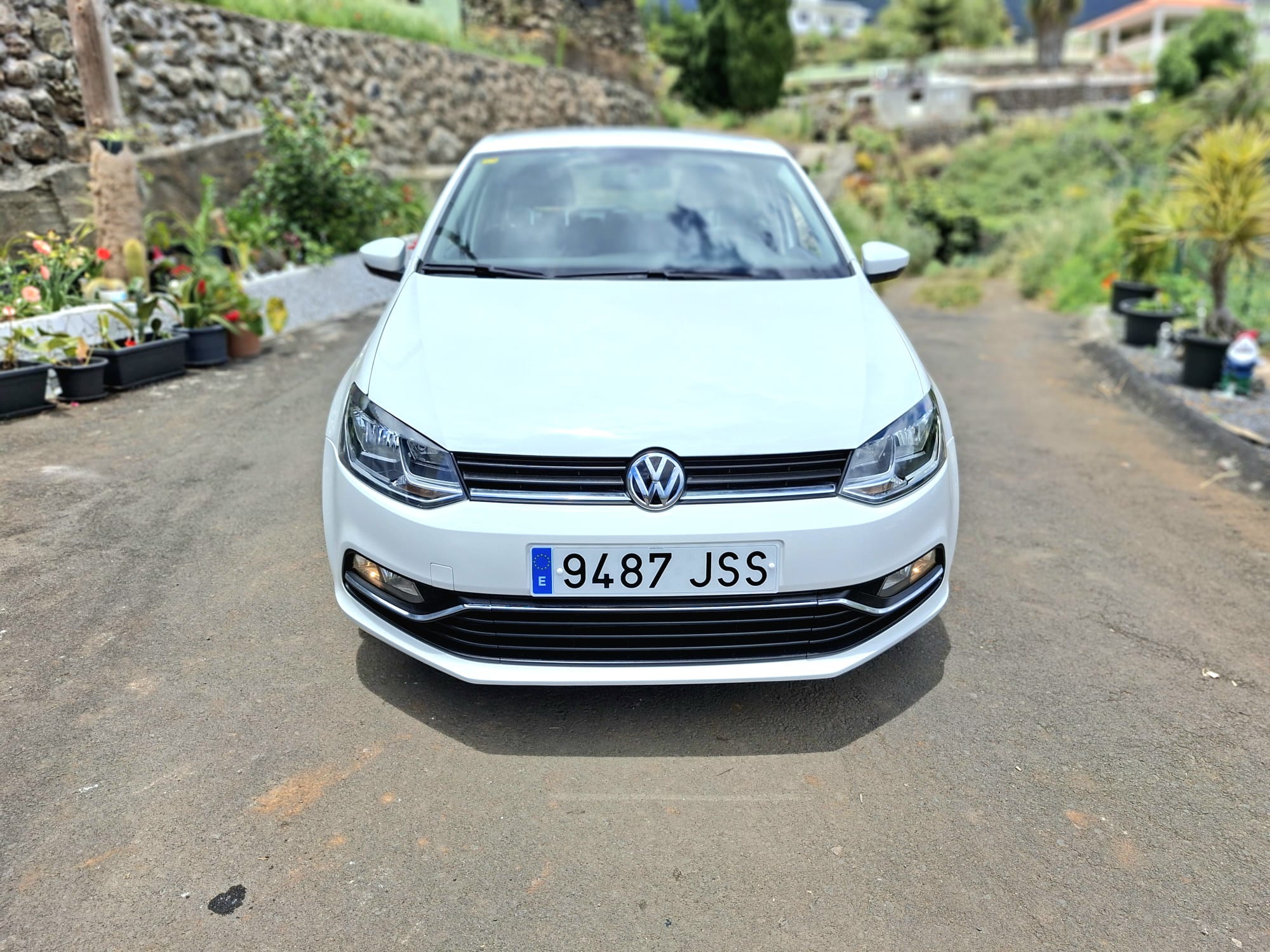 Volkswagen Polo foto 3