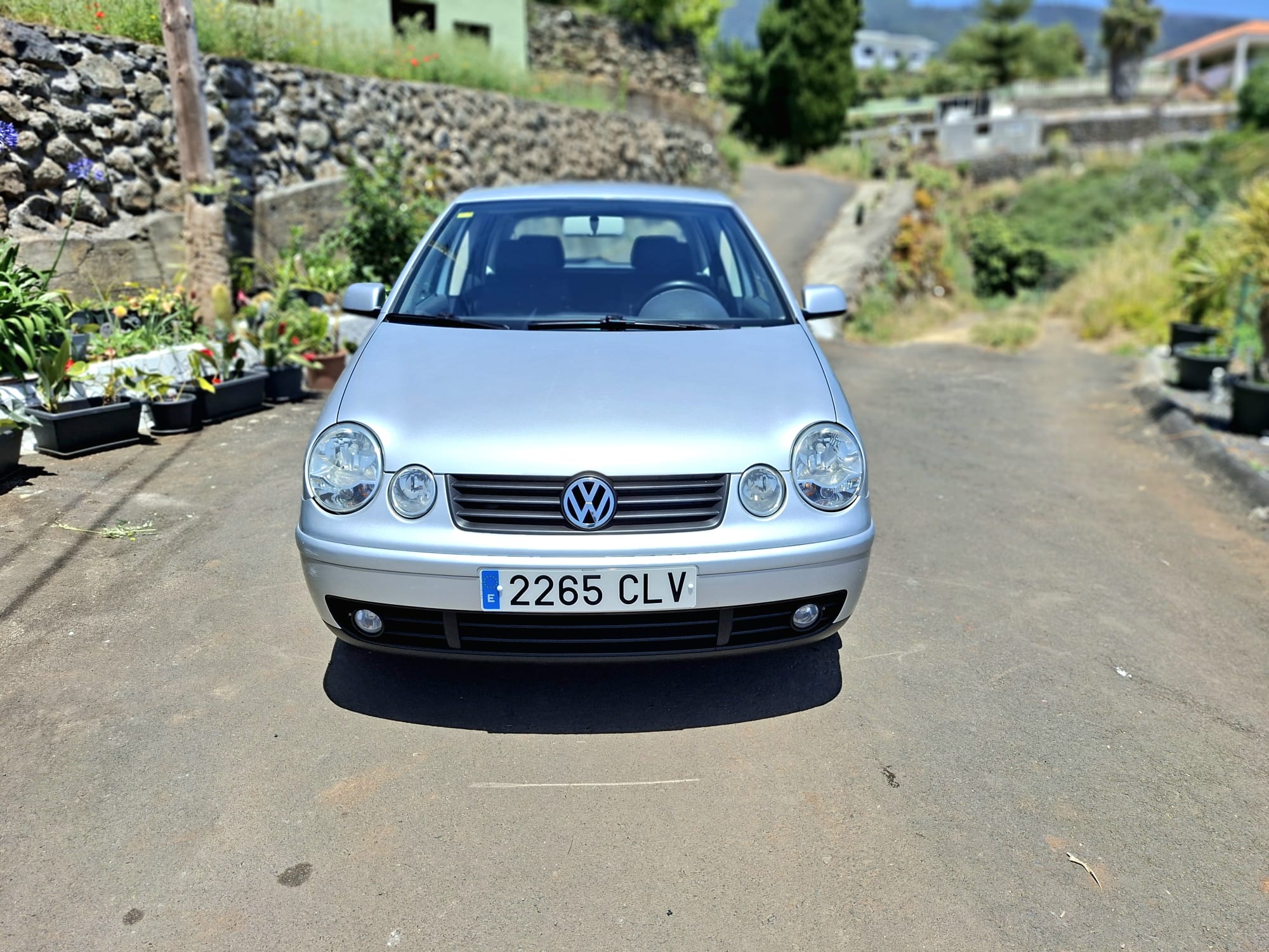 Volkswagen Polo foto 2